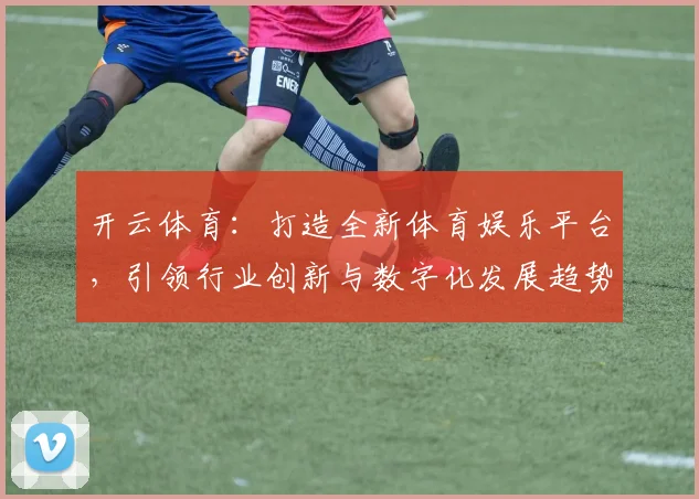 开云体育：打造全新体育娱乐平台，引领行业创新与数字化发展趋势